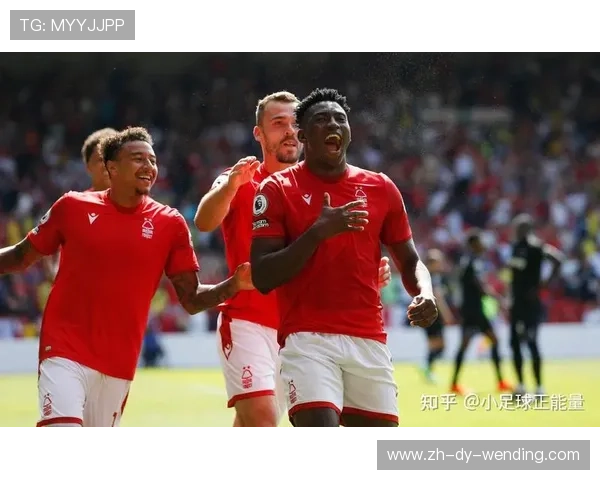 英超球队情况：全面了解英超球队的现状与未来走势