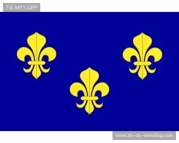 鸢尾花密码与佛罗伦萨足球徽章色彩象征意义的深度解读与探索